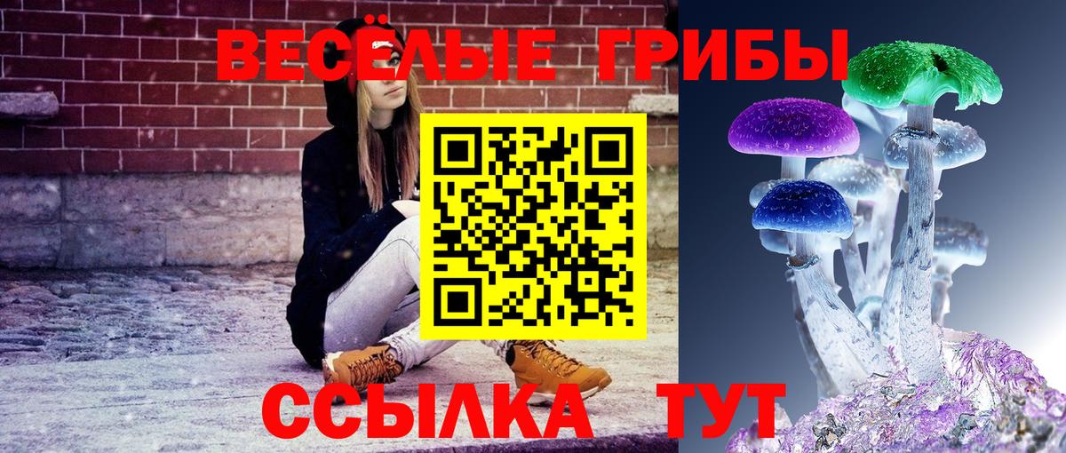 Сухой Лог  Галлюциногенные грибы Cubensis  Вход с VPN 